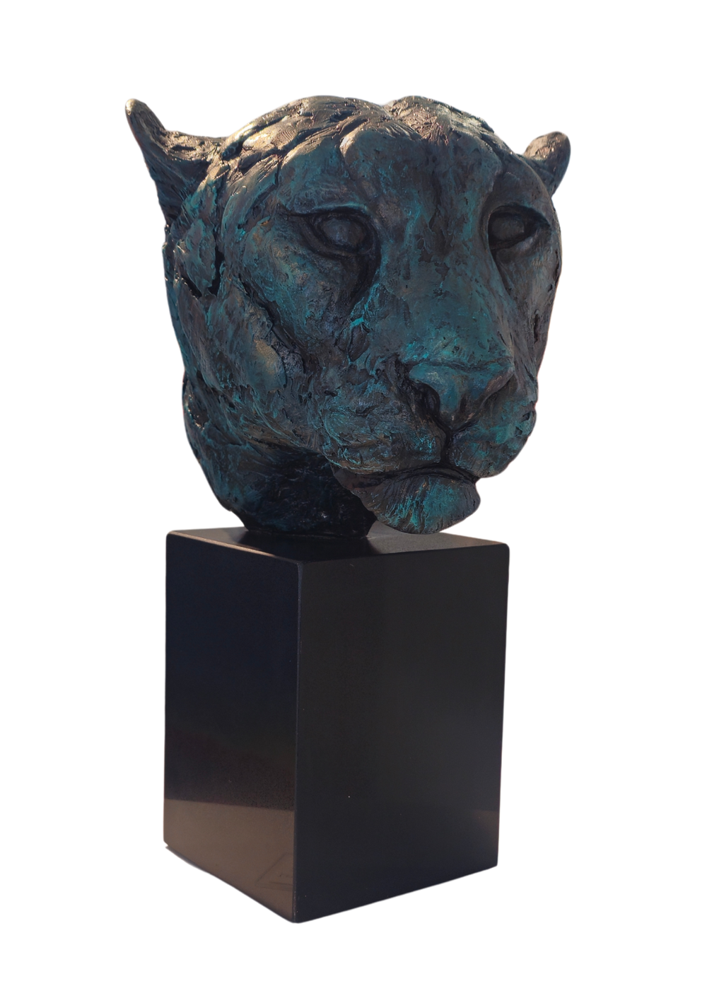 Leopard Bust - GRP | Wildlife Art