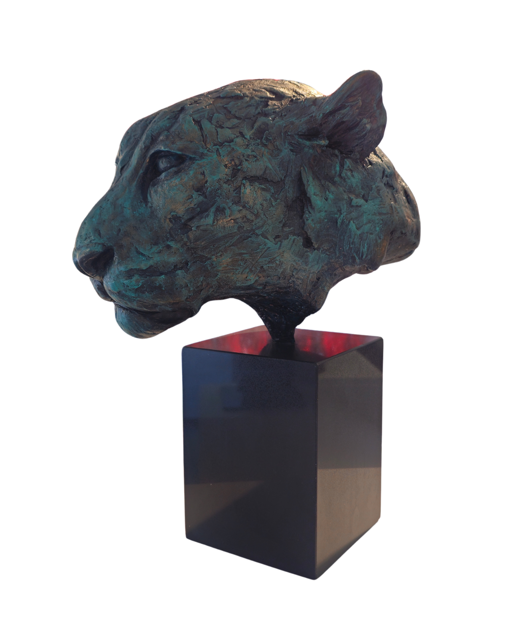 Leopard Bust - GRP | Wildlife Art