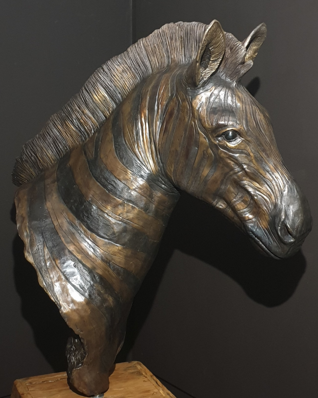 Bronze Zebra Bust | Wildlife Art
