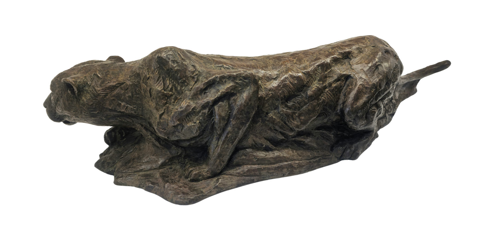 Bronze Leopard - Crawling | Wildlife Art