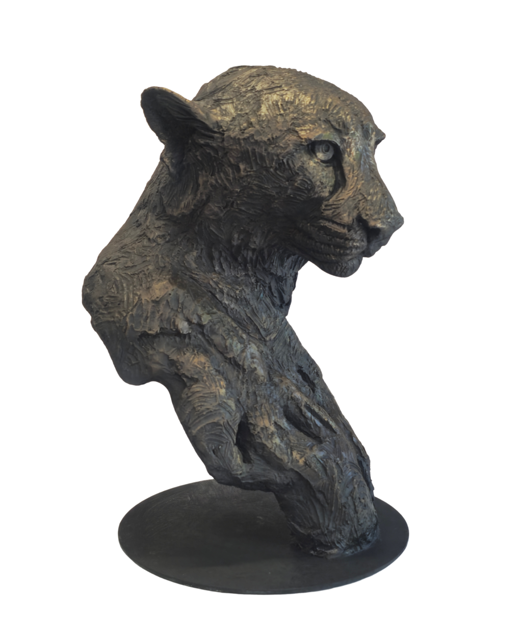Cheetah Bust - GRP | Wildlife Art