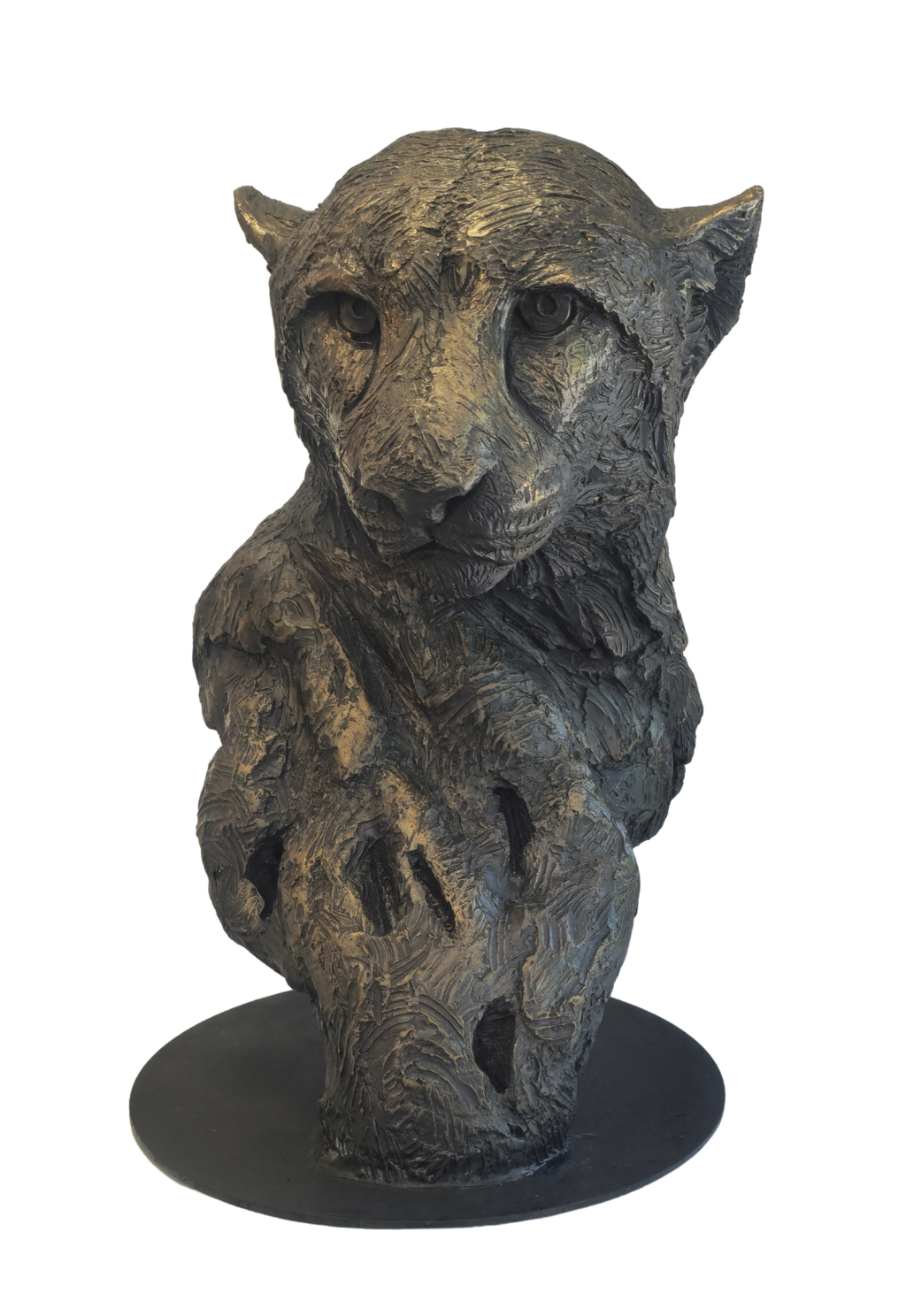 Cheetah Bust - GRP | Wildlife Art