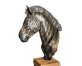 Bronze Zebra Bust | Wildlife Art