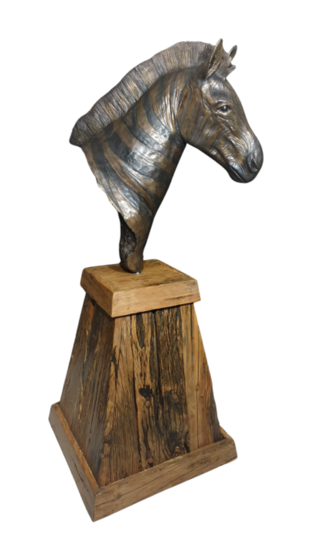 Bronze Zebra Bust | Wildlife Art