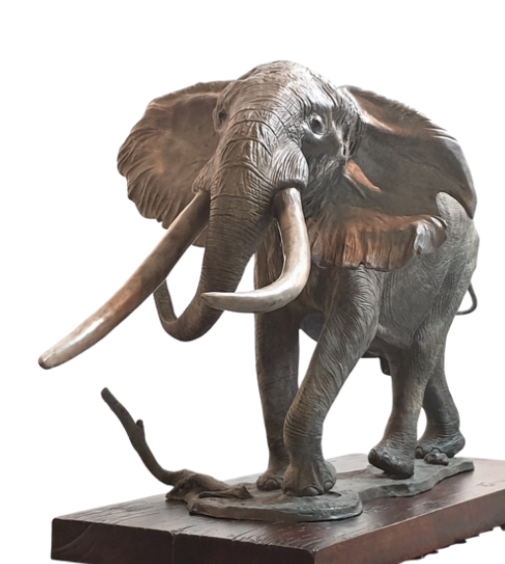 Bronze Elephant - Mandleve | Wildlife Art