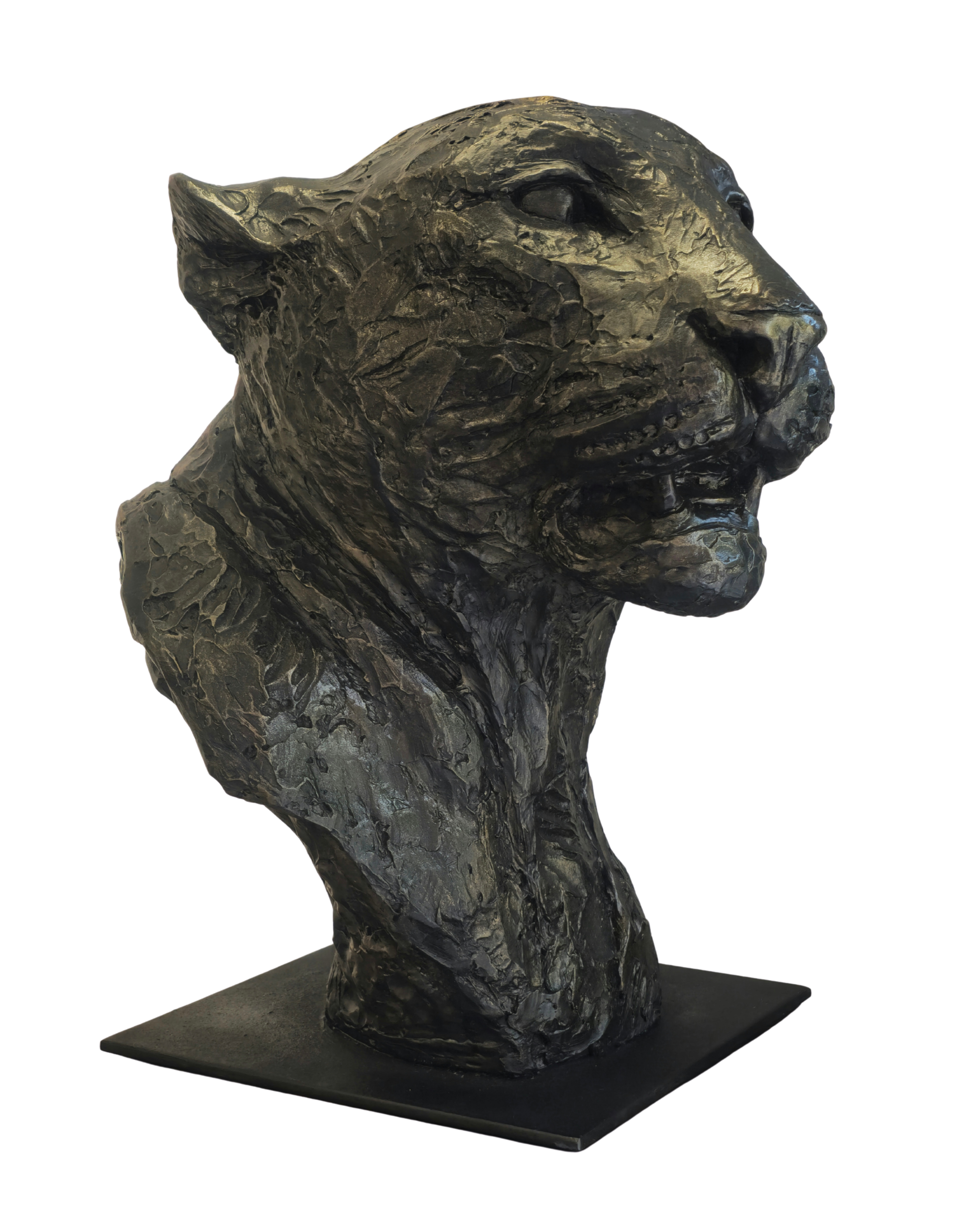 Leopard Bust - GRP | Wildlife Art