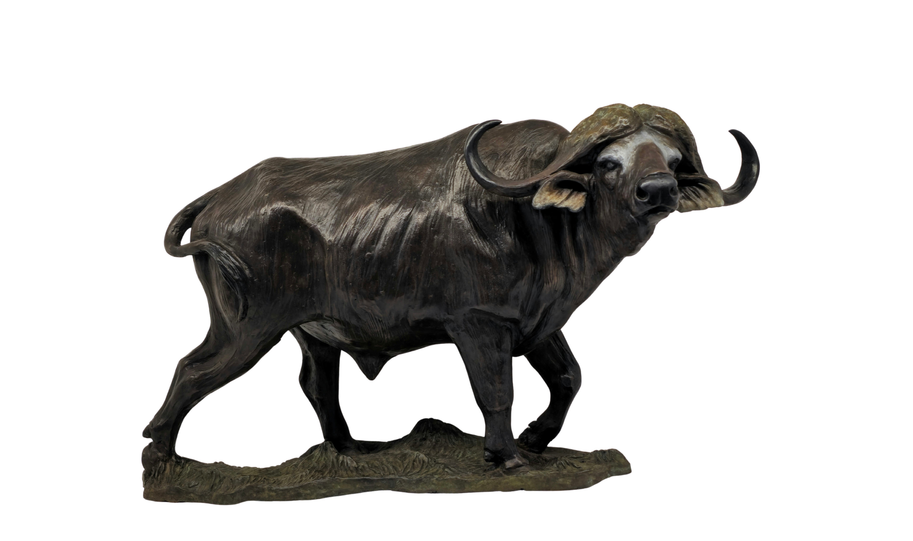 Bronze Cape Buffalo - Big Five Set | Wildlife Art