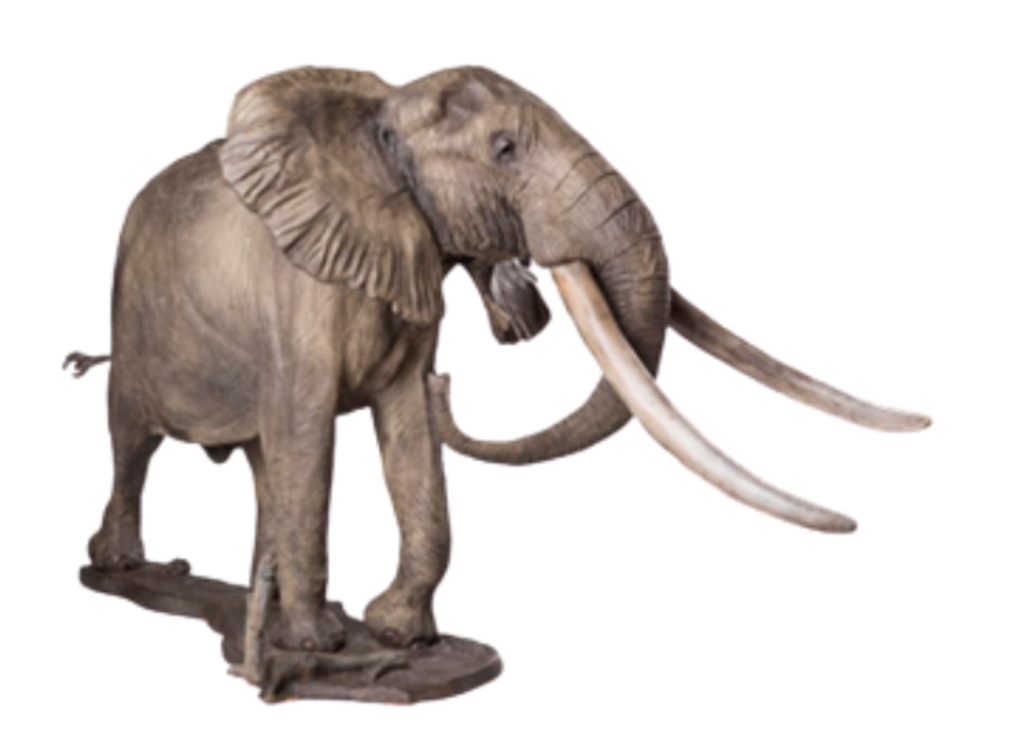 Bronze Elephant - Mandleve | Wildlife Art