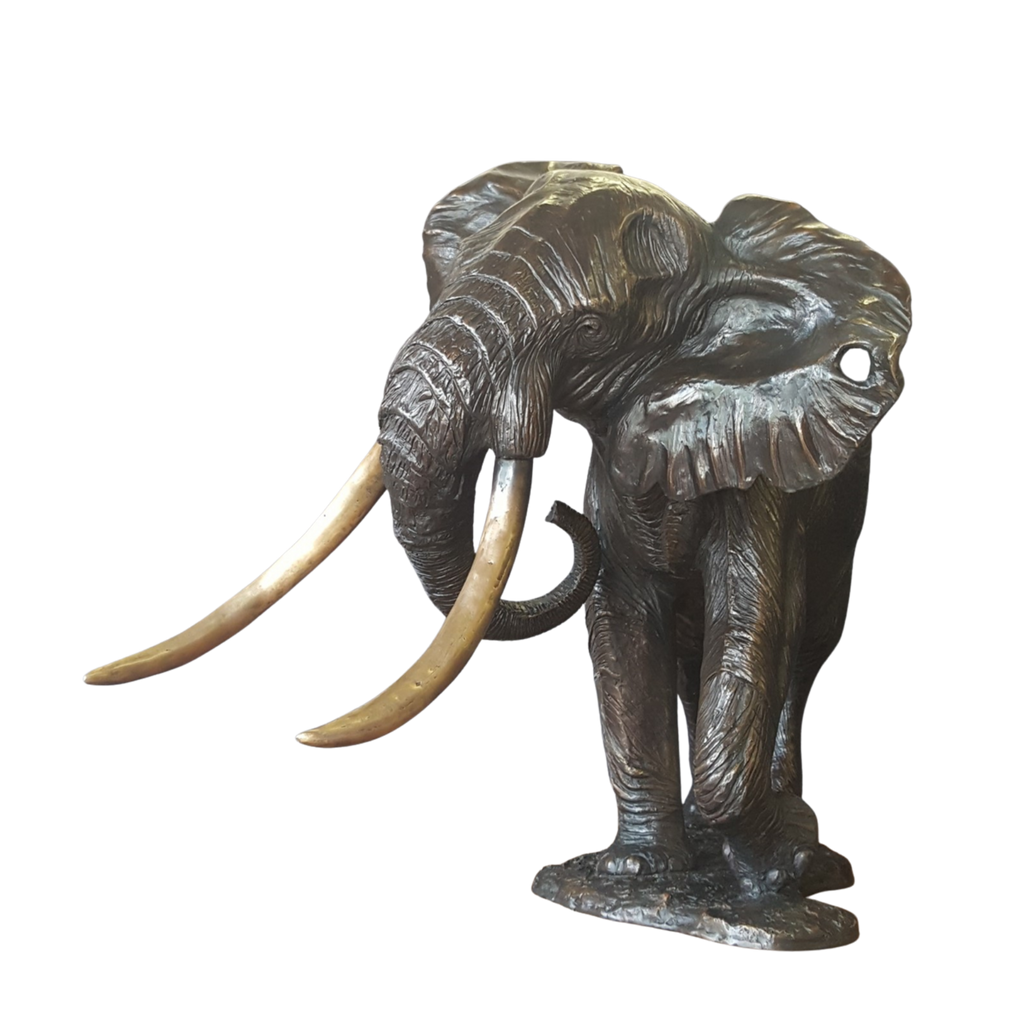 Bronze Elephant - Phelwane | Wildlife Art