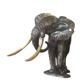 Bronze Elephant - Phelwane | Wildlife Art