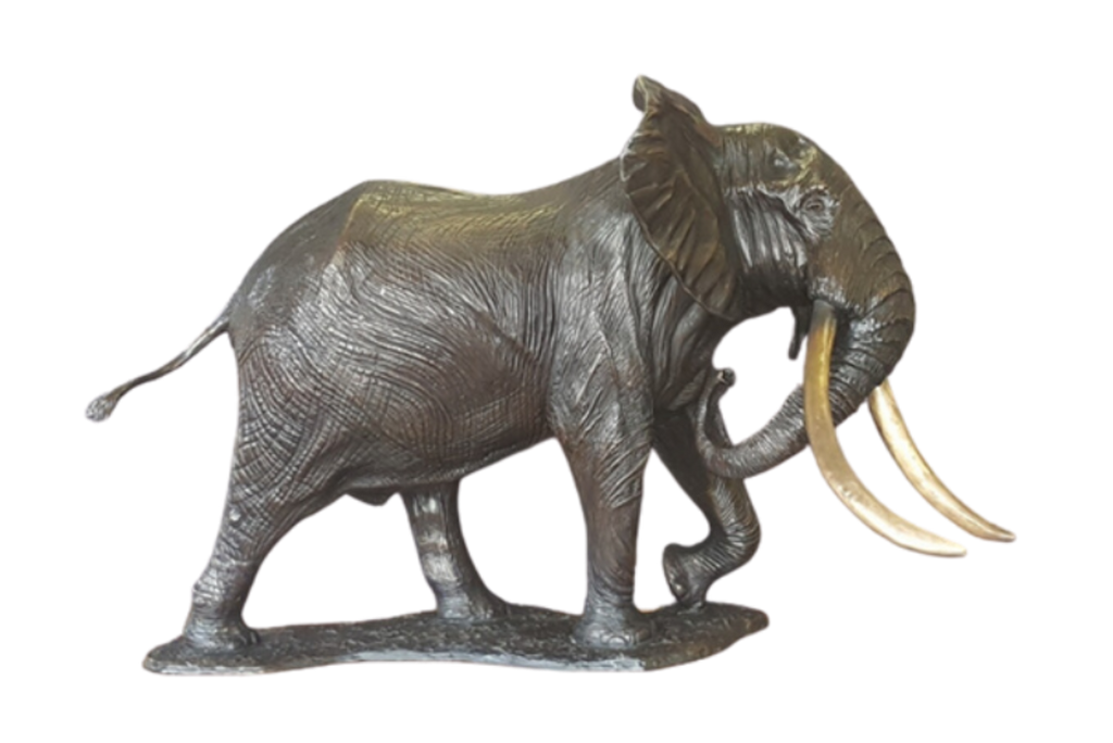 Bronze Elephant - Phelwane | Wildlife Art