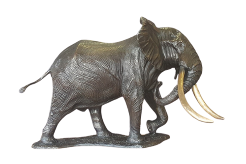 Bronze Elephant - Phelwane | Wildlife Art