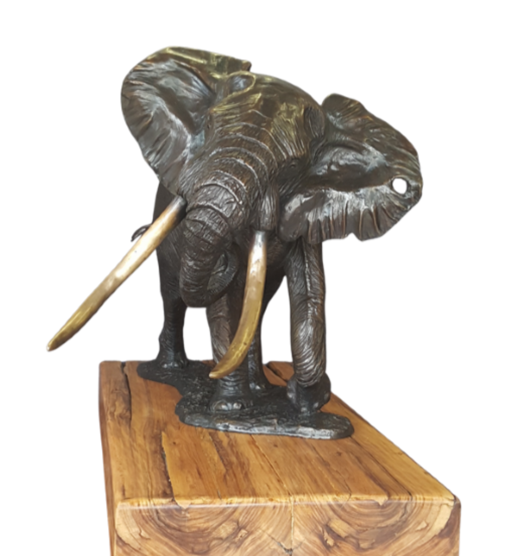 Bronze Elephant - Phelwane | Wildlife Art