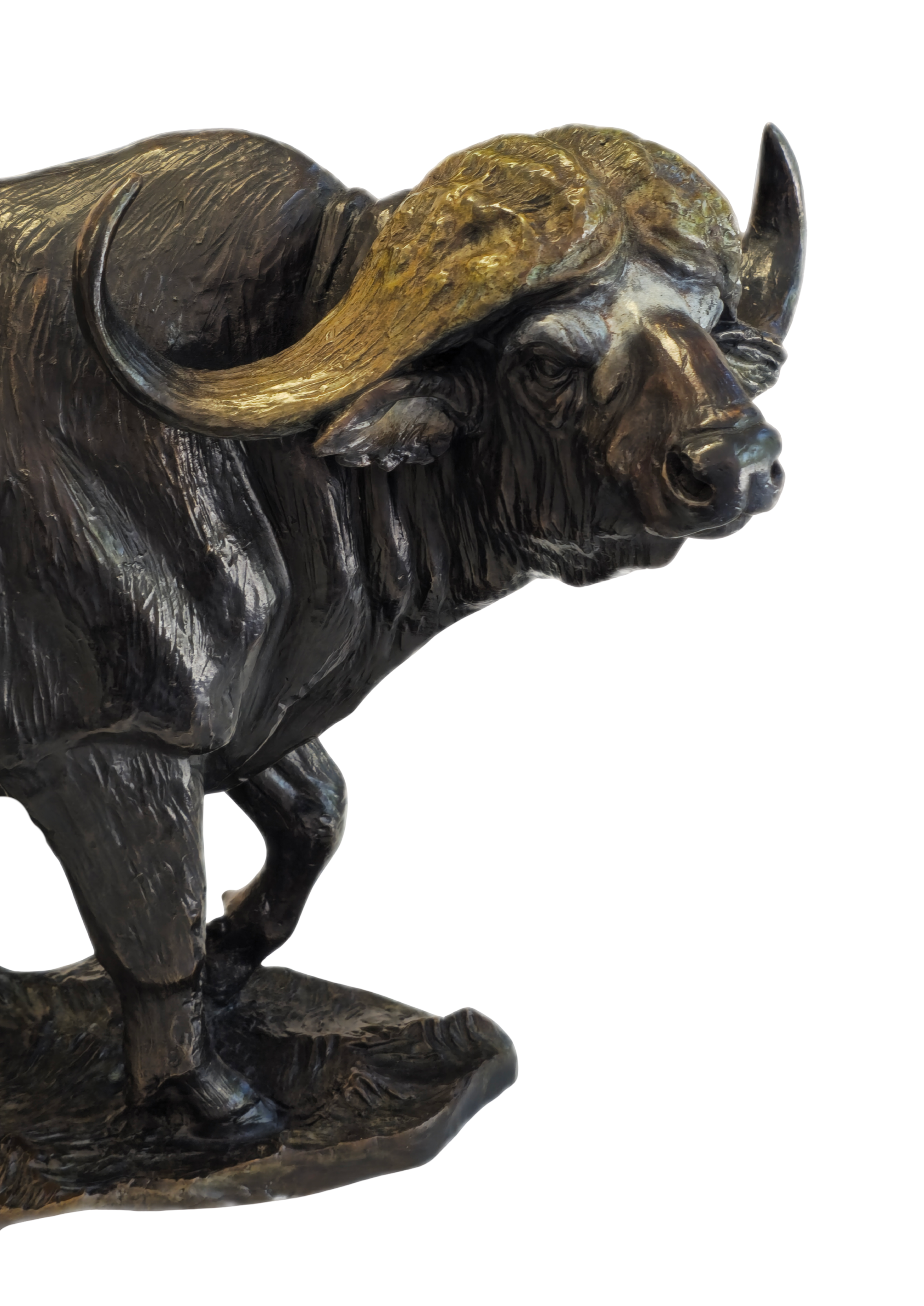 Bronze Cape Buffalo - Big Five Set | Wildlife Art