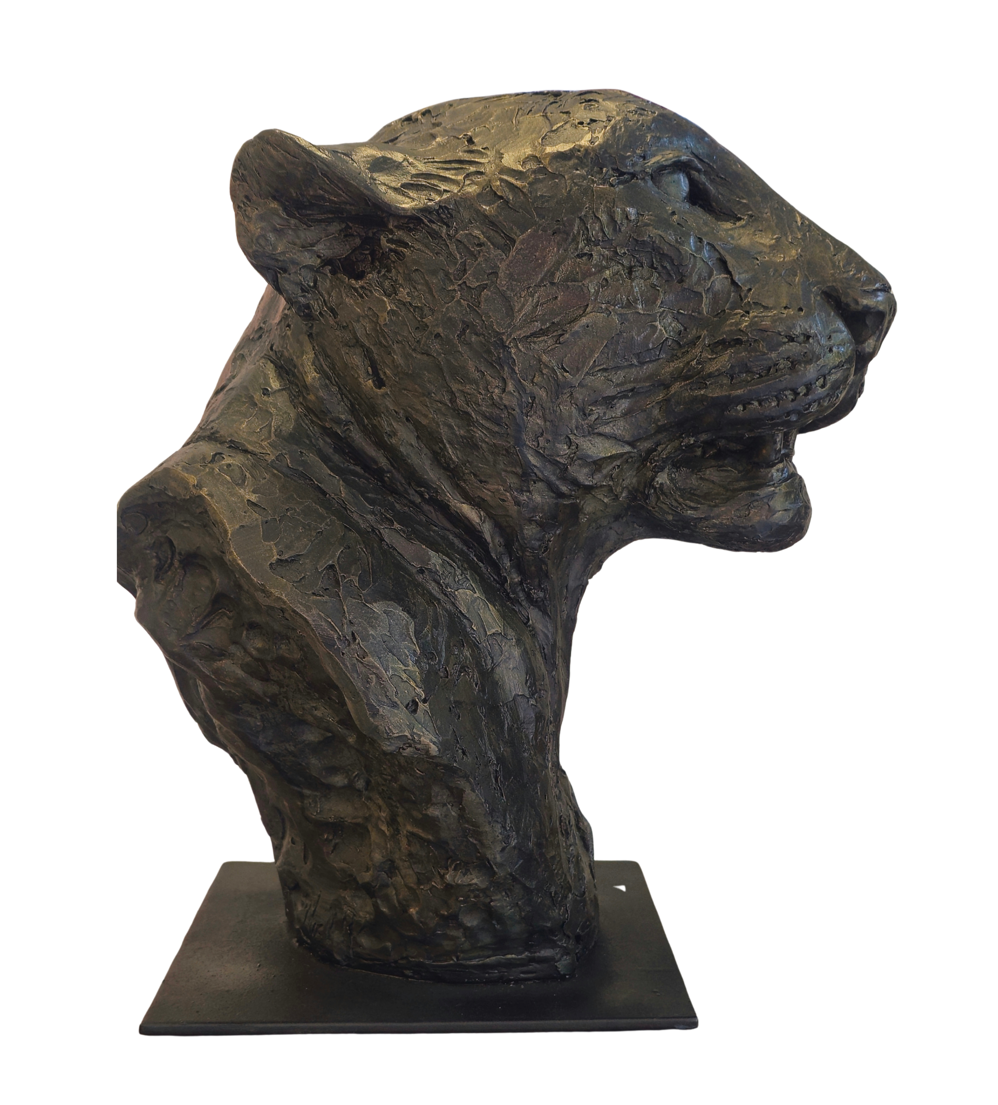 Leopard Bust - GRP | Wildlife Art