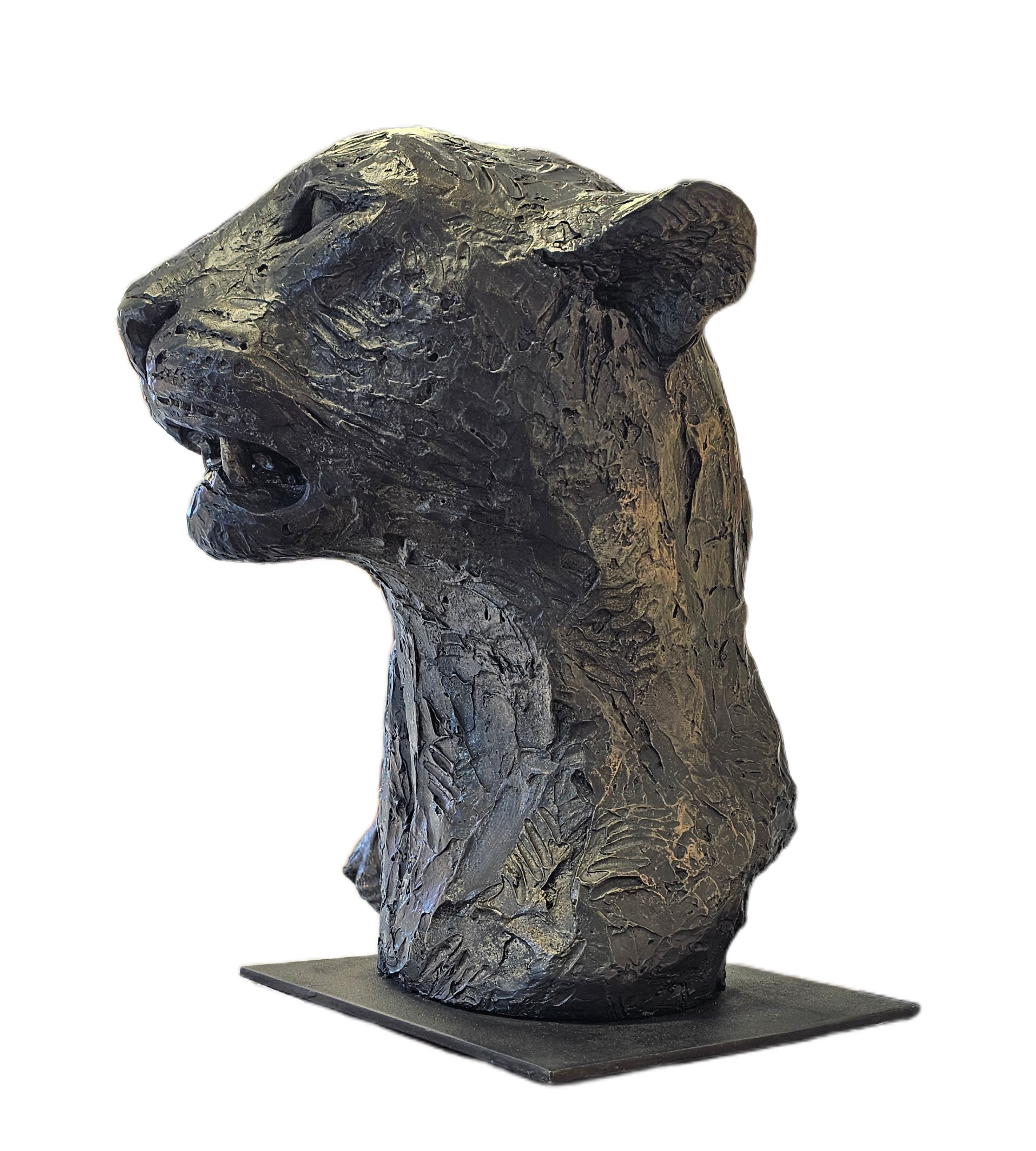 Leopard Bust - GRP | Wildlife Art
