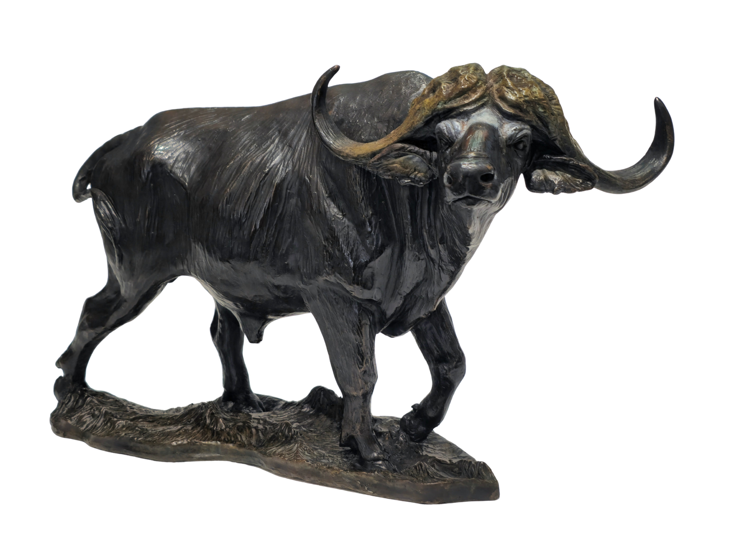 Bronze Cape Buffalo - Big Five Set | Wildlife Art