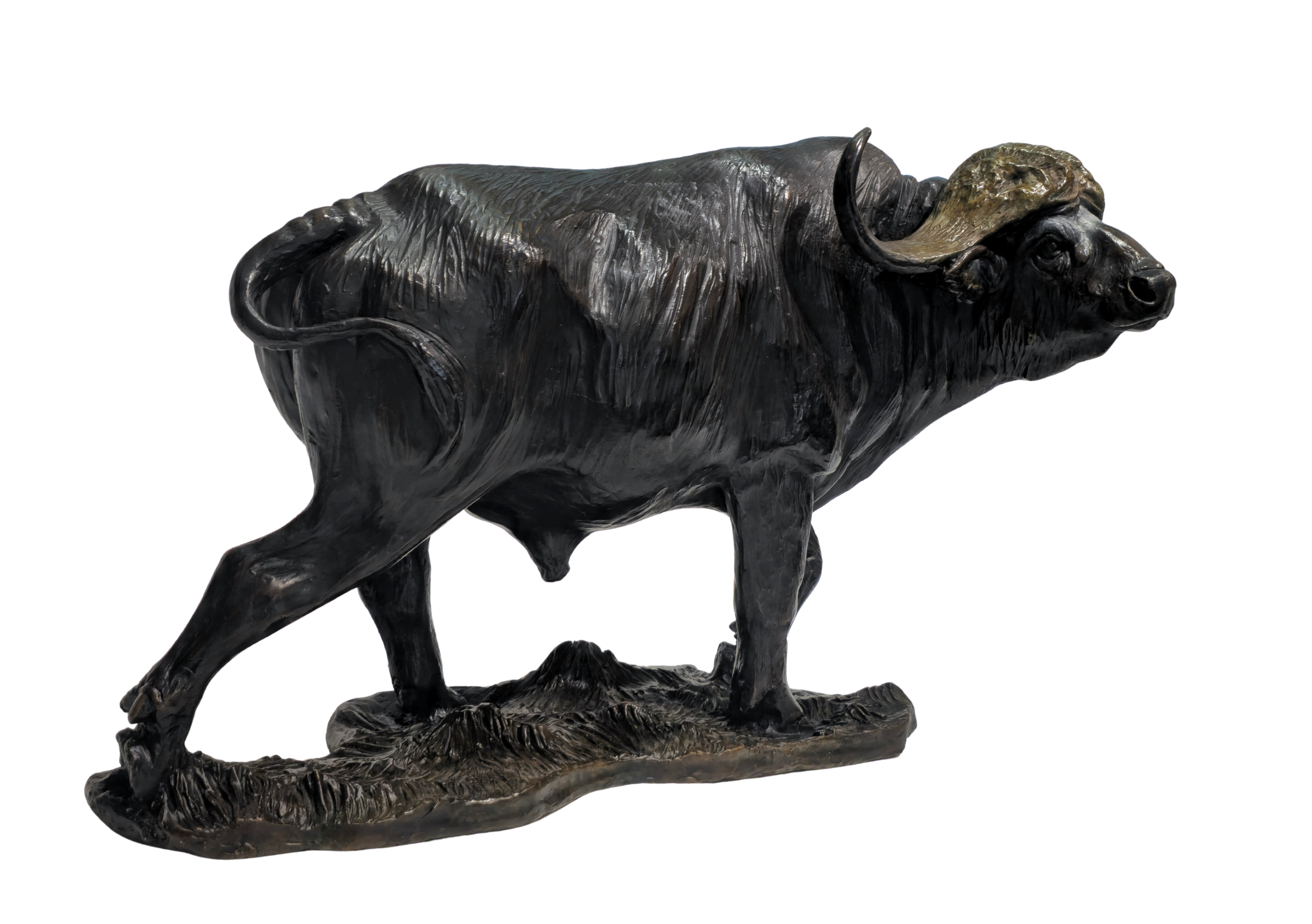 Bronze Cape Buffalo - Big Five Set | Wildlife Art