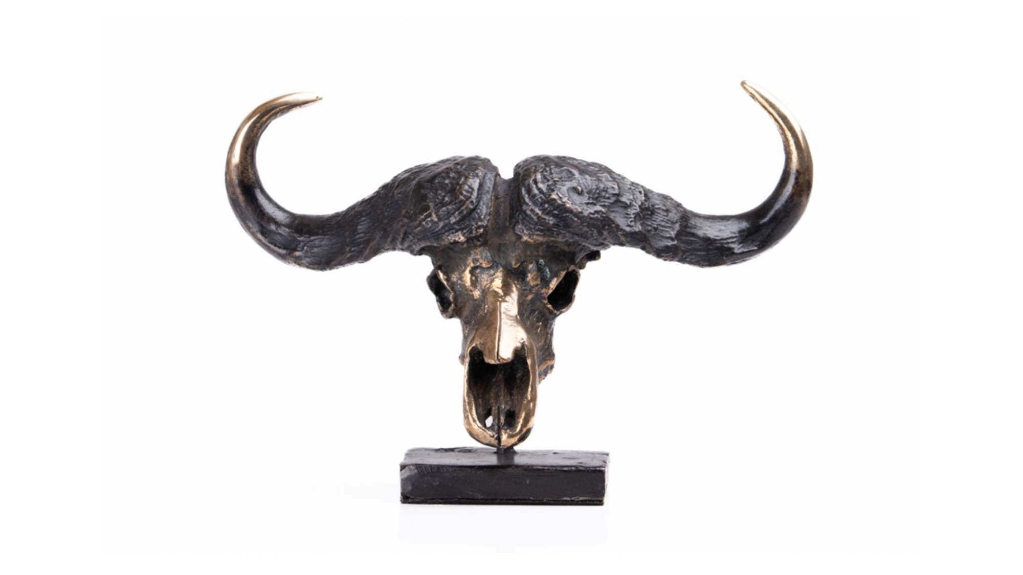 Bronze Buffalo Scull  - Small | Wildlife Art