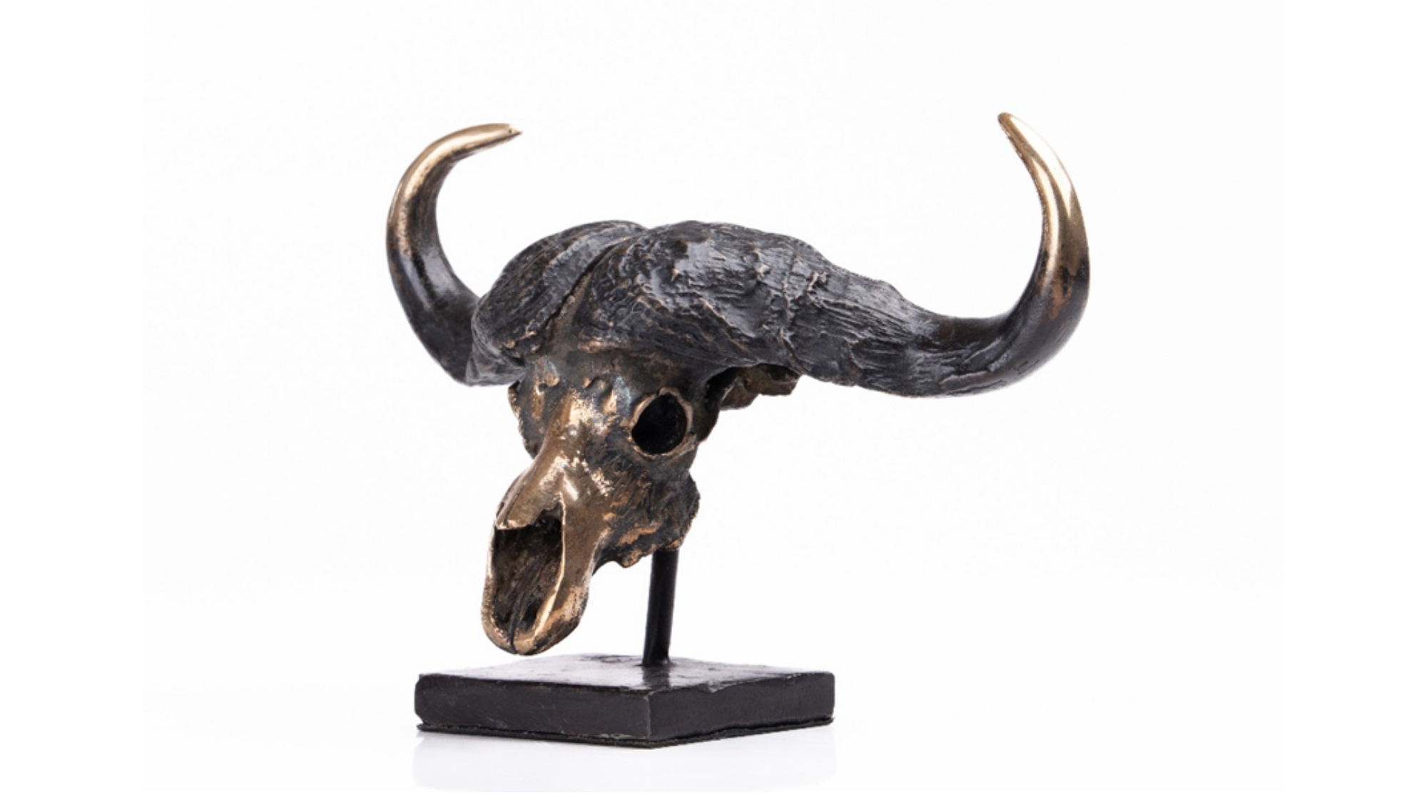 Bronze Buffalo Scull  - Small | Wildlife Art