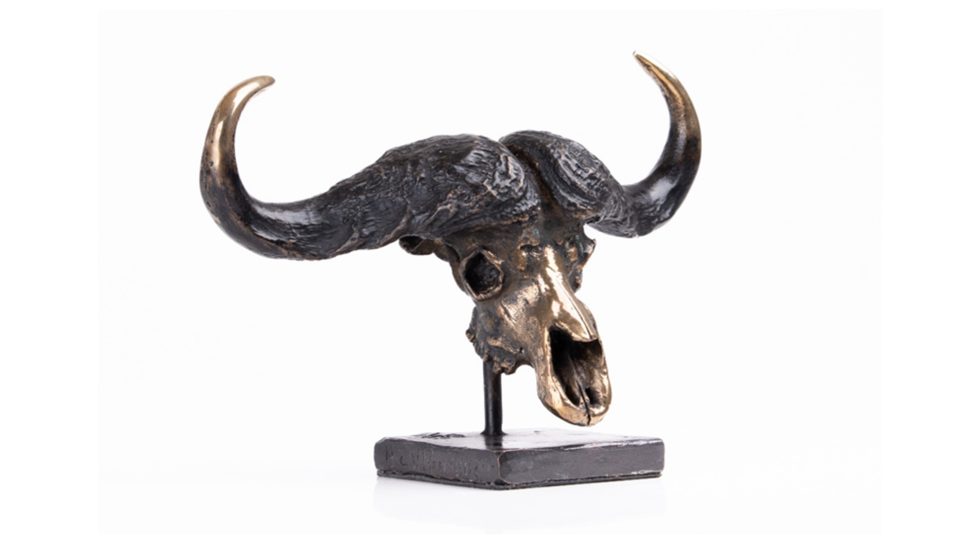 Bronze Buffalo Scull  - Small | Wildlife Art
