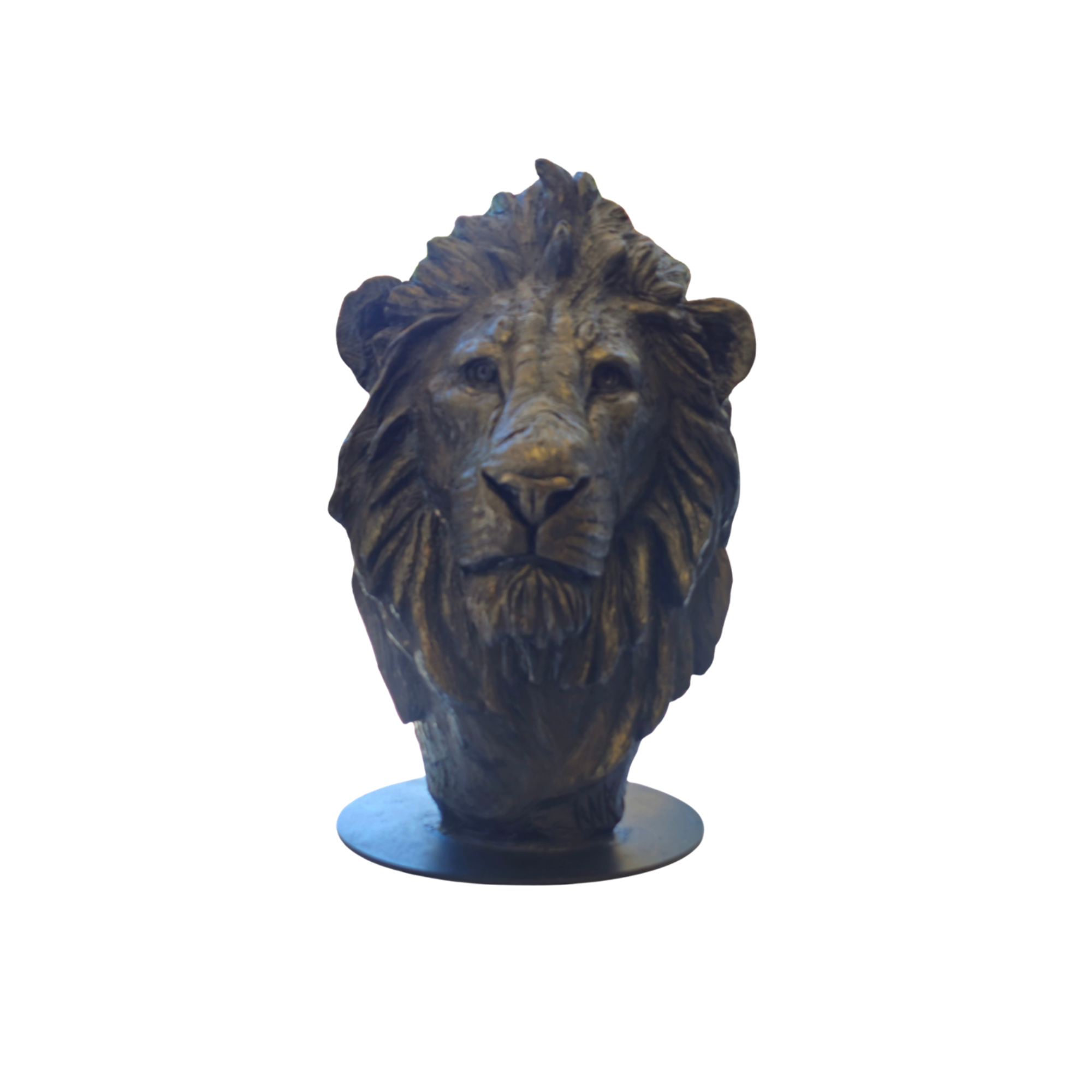 Lion Bust - GRP | Wildlife Art