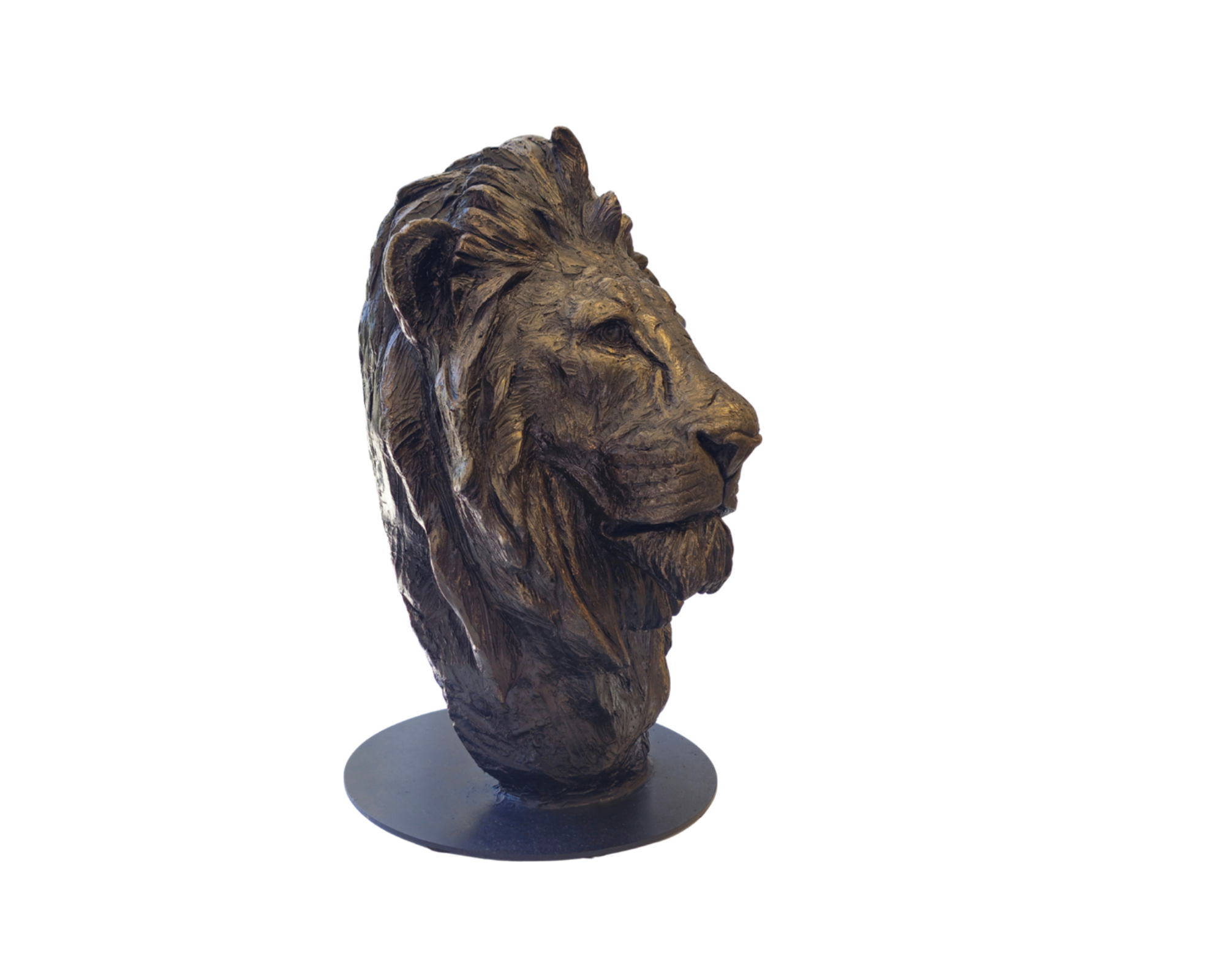 Lion Bust - GRP | Wildlife Art