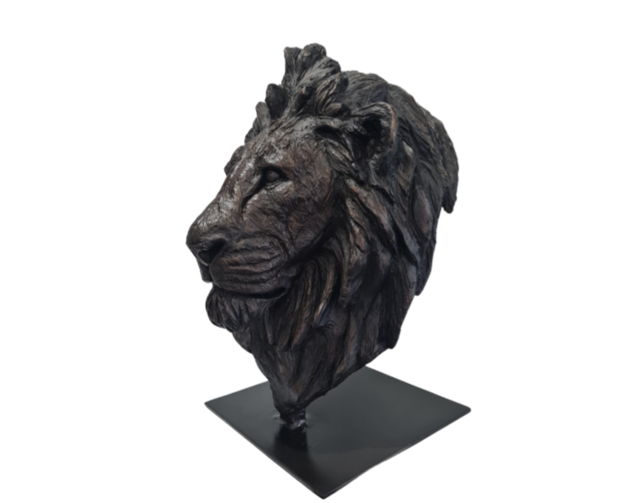 Lion Bust - GRP | Wildlife Art