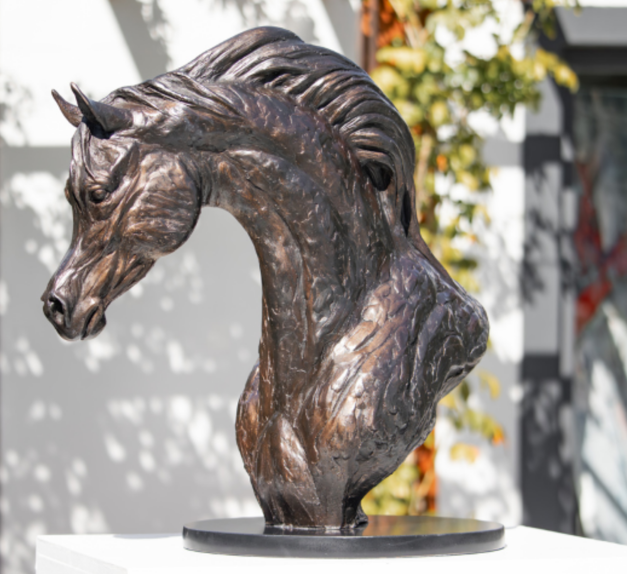 Bronze Arabian Horse Bust