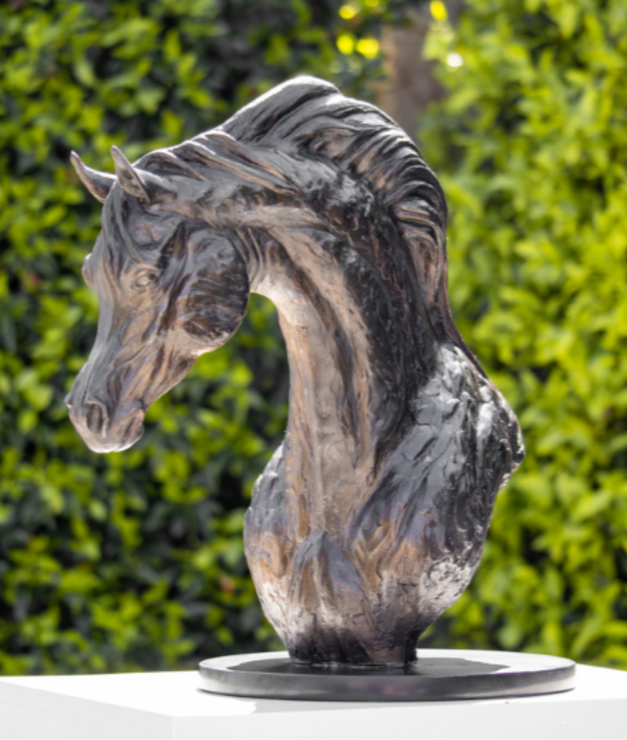 Bronze Arabian Horse Bust