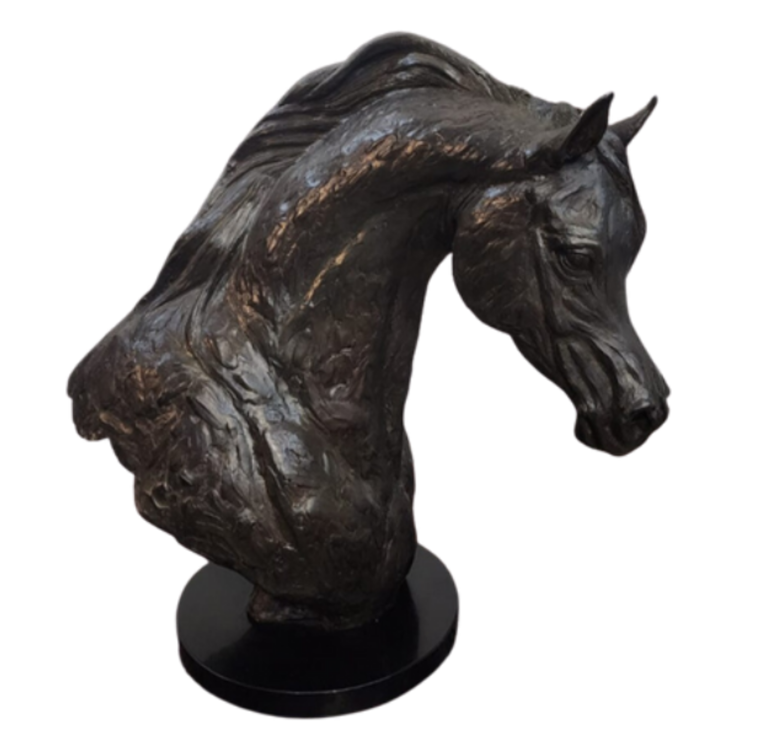 Bronze Arabian Horse Bust