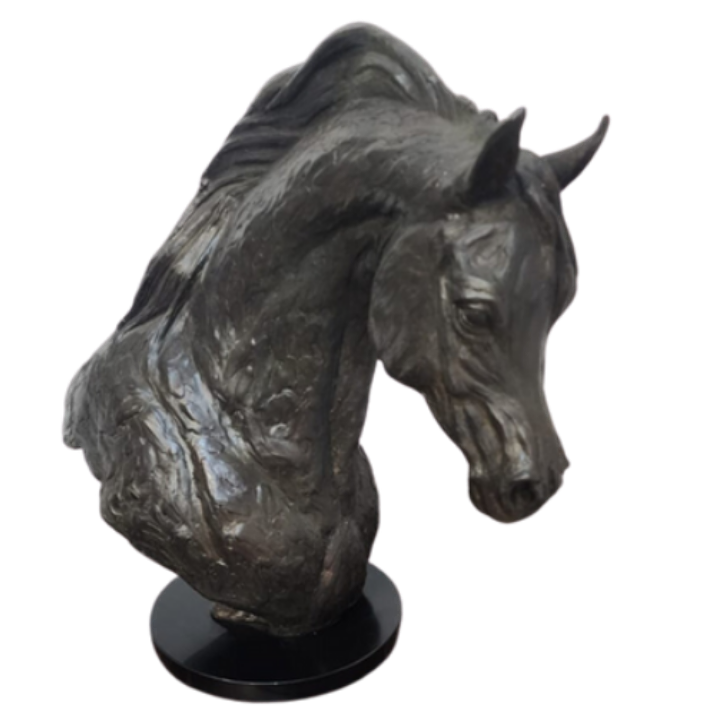 Bronze Arabian Horse Bust