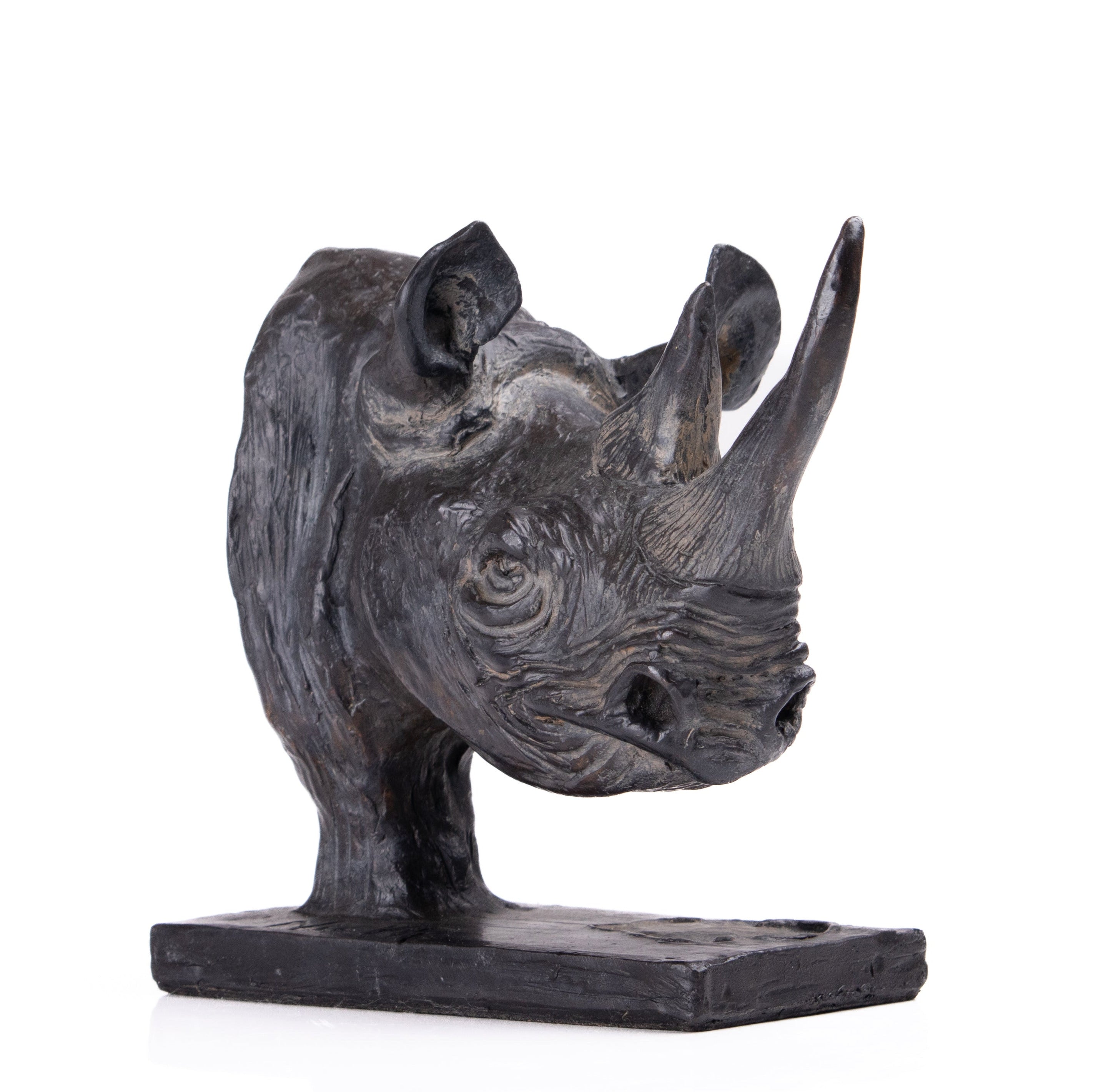 Bronze Big Five Bust Set | Wildlife Art